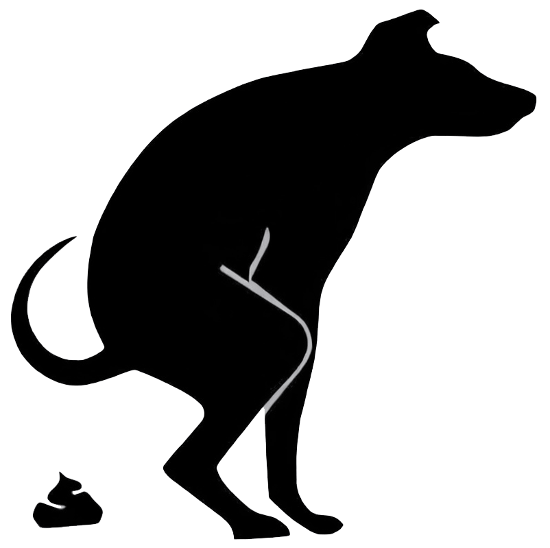 a group of people hugging on a hill